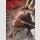 Stars of Chaos: Sha Po Lang vol. 4 [Light Novel]