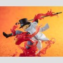 BANDAI SPIRITS FIGUARTS ZERO One Piece SABO Fire Fist Rook Check