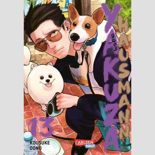 Yakuza goes Hausmann Bd. 13