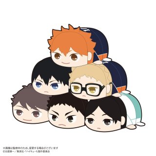HAIKYU!! Potekoro Mascot Plüsch Anhänger