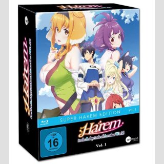 Harem in the Labyrinth of Another World vol. 1 [Mediabook Edition] mit Sammelschuber [Blu Ray]