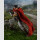 BANDAI SPIRITS S.H.FIGUARTS Berserk GUTS The Band of the Hawk