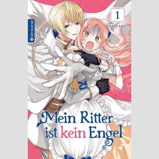 Mein Ritter ist kein Engel Bd. 1