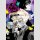Hells Paradise: Jigokuraku vol. 4
