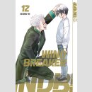 Wind Breaker Bd. 12