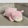 BANDAI SPIRITS MINI PLÜSCH Pokemon FLEGMON (Slowpoke)