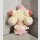 BANDAI SPIRITS MINI PLÜSCH Pokemon POKUSAN (Alcremie)