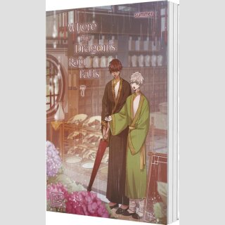 Where the Dragons Rain Falls Bd. 7 [Webtoon]
