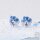 SNOW MIKU 2025 Collection TF
