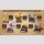 POKEMON Vintage Collection Type Steel TF