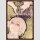 TOKYO GHOUL:RE Illustration [Hardcover]