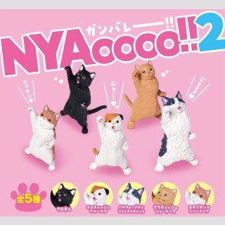 NYAooo!!2 TF