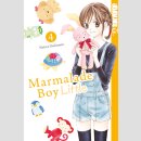 Marmalade Boy Little Bd. 4