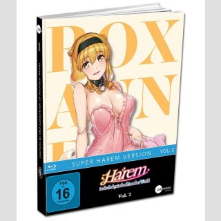 Harem in the Labyrinth of Another World vol. 2 [Mediabook Edition] [Blu Ray]