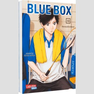 Blue Box Bd. 13