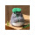 STUDIO GHIBLI PLÜSCH Mein Nachbar Totoro BIG TOTORO mit Blatt (21 cm)