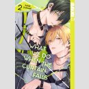 What We Do When the Curtain Falls Bd. 2