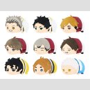 HAIKYU!! Mochimochi Mascot Plüsch Anhänger vol. 5