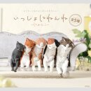 CATS Sleep Together Cat TF