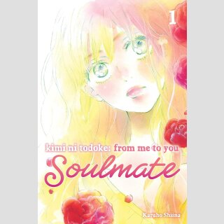 Kimi ni Todoke: From Me to You: Soulmate vol. 1