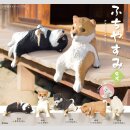 Fuchiyasumi Shiba Inu TF