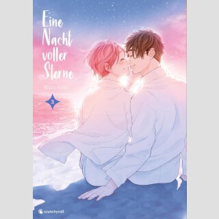 Eine Nacht voller Sterne Bd. 3 (Ende)