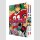Eyeshield 21 Bundle 12+13