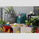 SAKAMOTO DAYS Mega Cat Project Sakamoto Cats Nyantomo Pleasant Sakamotos Store! TF