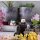 SAKAMOTO DAYS Mega Cat Project Sakamoto Cats Nyantomo Pleasant Sakamotos Store! TF