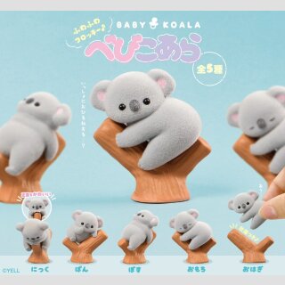 Baby Koala TF