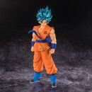 DRAGON BALL SUPER Blood of Saiyans SON GOKU SSGSS