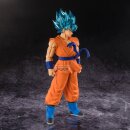 DRAGON BALL SUPER Blood of Saiyans SON GOKU SSGSS