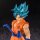 DRAGON BALL SUPER Blood of Saiyans SON GOKU SSGSS