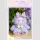 YAYAs Garden Baby Series Plush TF