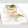 The Art of Rumiko Takahashi COLORS 1978-2024 [Hardcover]