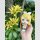 Character Vocal Series: Kagamine Rin/Len Look Up PVC Statue Kagamine Rin 11 cm
