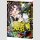 Kindergarten WARS Bd. 7