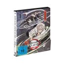 Demon Slayer: Kimetsu no Yaiba HASHIRA TRAINING ARC vol....