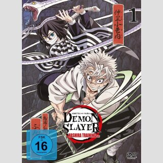 DEMON SLAYER Kimetsu no Yaiba HASHIRA TRAINING ARC vol. 1 [DVD]