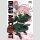 Dead Account Bd. 5