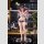 Original Character PVC Statue 1/6 Switch Illustrated by myabit 28 cm