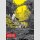 The Color of the End Bd. 3