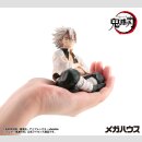 Demon Slayer Kimetsu no Yaiba G.E.M. PVC Statue Shinazugawa-san Palm Size 9 cm