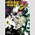 Gushing over Magical Girls vol. 6