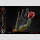 Berserk Life Scale Masterline Series Hand of God 25 cm
