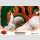 FIRST 4 FIGURES Okami AMATERASU