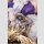 Honkai: Star Rail PVC Statue Diorama Robin: Flowing Nightglow Ver. 27 cm