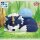 BANDAI SPIRITS SOFUBI That Time I Got Reincarnated as a Slime RIMURU & RANGA Soft Vinyl Figure