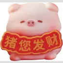 LUCKY SWEET PIG Good Luck to You Series TF