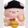 LUCKY SWEET PIG Good Luck to You Series TF